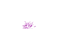 619.webp